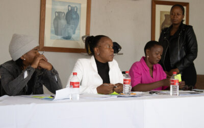 Isibindi Ezikoleni and NACCW Lead the Way